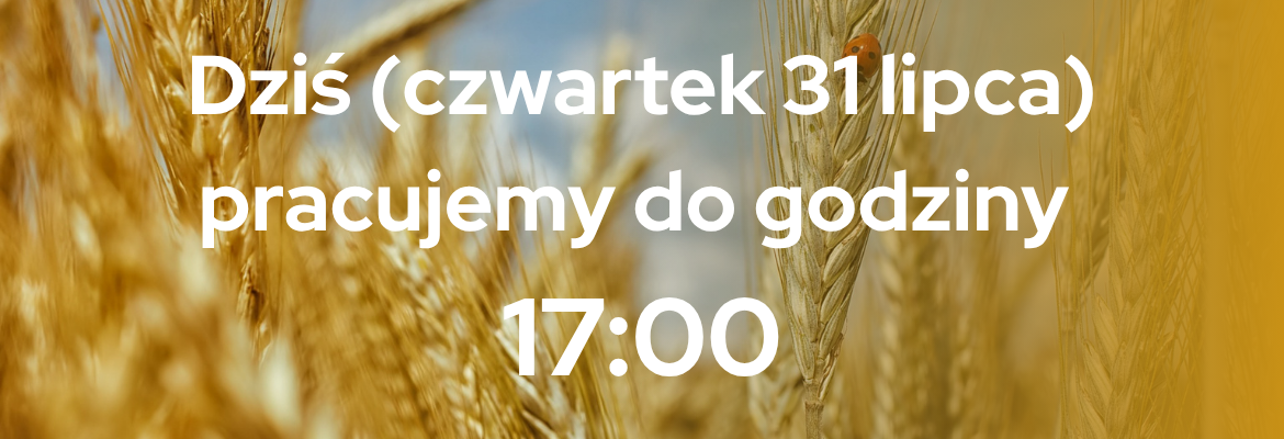Żniwa 2025